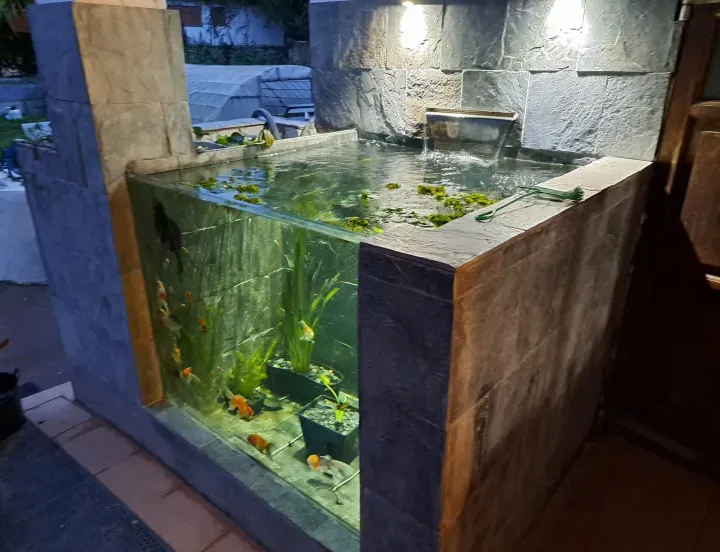 Acuario interior