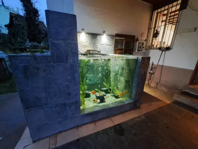 Acuario interior