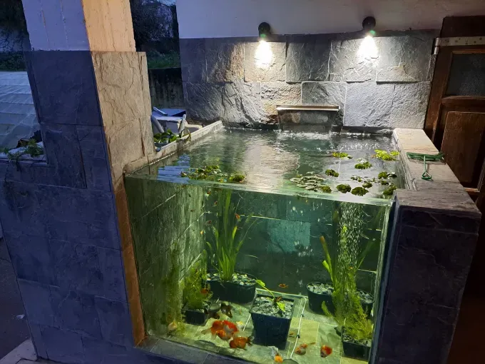 Acuario interior