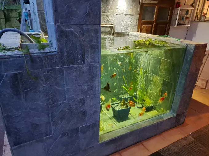 Acuario interior