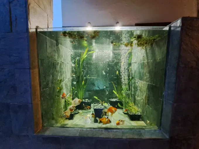 Acuario interior
