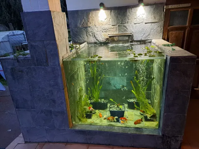 Acuario interior