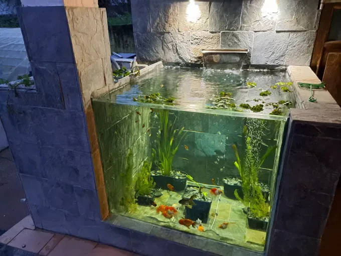 Acuario interior